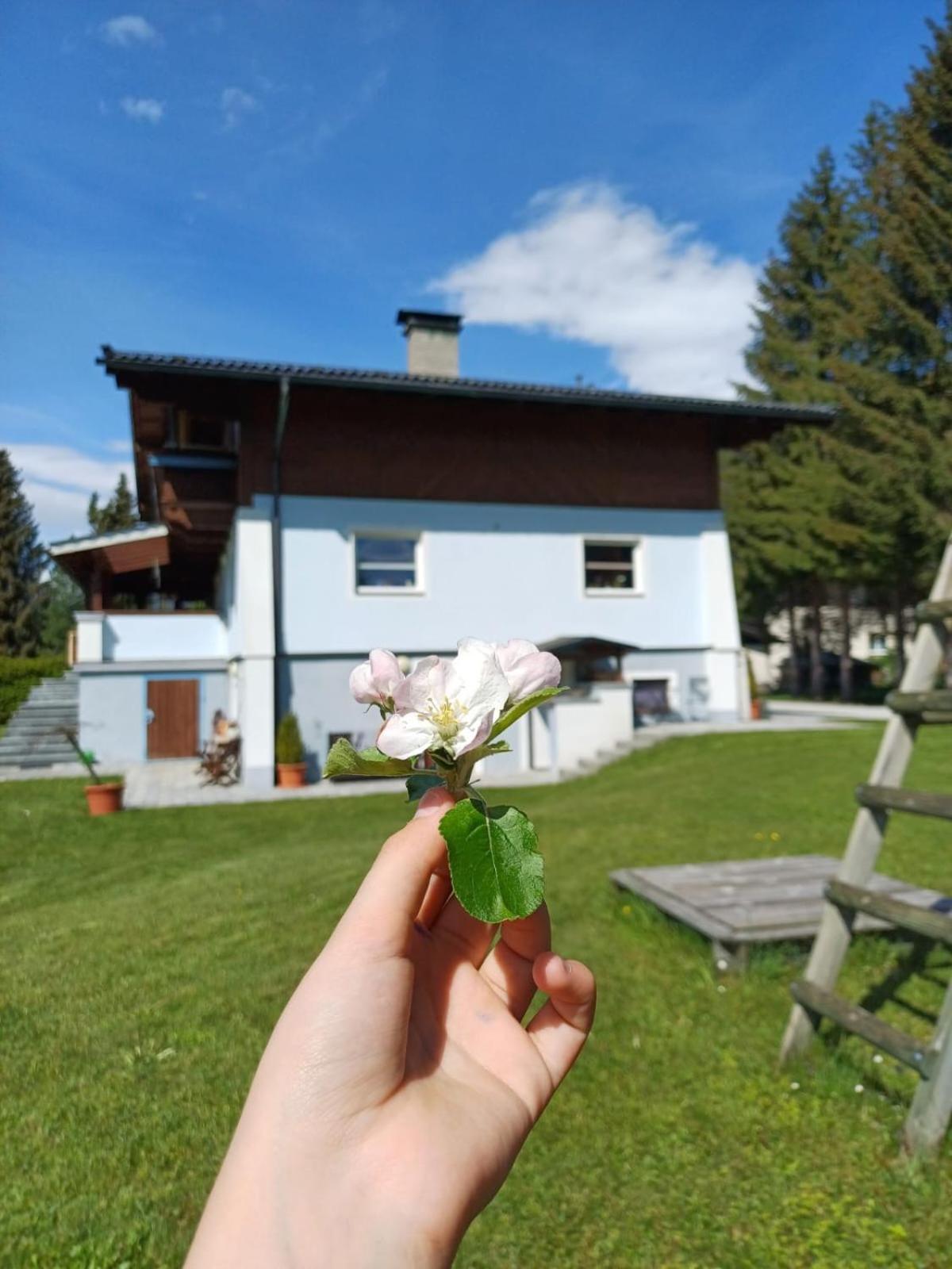 Appartements Am See Neukirchen am Grossvenediger Exterior foto